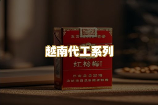 越南代工系列